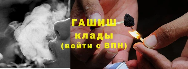 сатива Алзамай