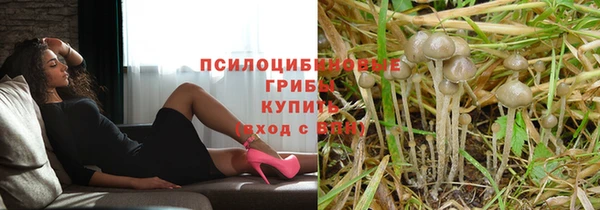 не бодяженный Алексин