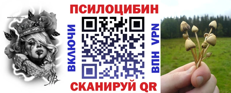 Псилоцибиновые грибы Psilocybine cubensis  купить   Нижний Ломов 
