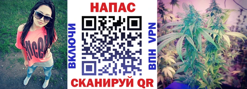 Каннабис сатива  как найти закладки  Нижний Ломов 